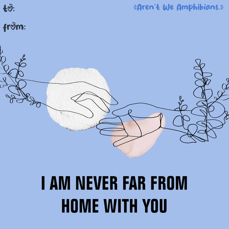 Aren't We Amphibians