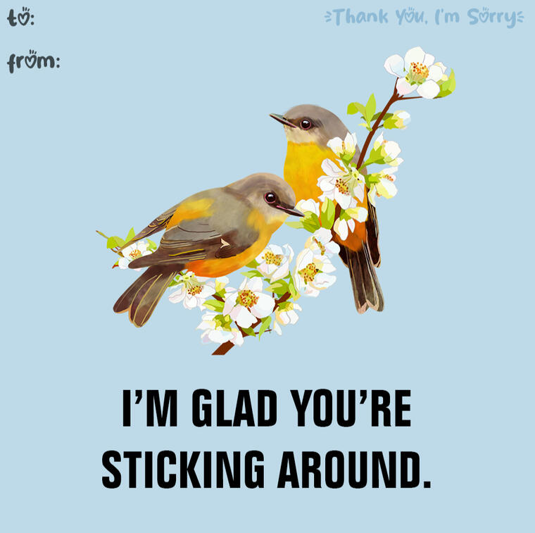 Thank You, I'm Sorry